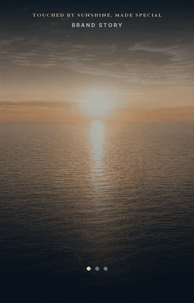 TOUCHED BY SUNSHINE, MADE SPECIAL — SUNSHINE 부산에서 가장 먼저 빛을 맞이하는 곳, SEA 육지와 바다가 만나는 곳, SPECIAL 기억될 하나의 장면